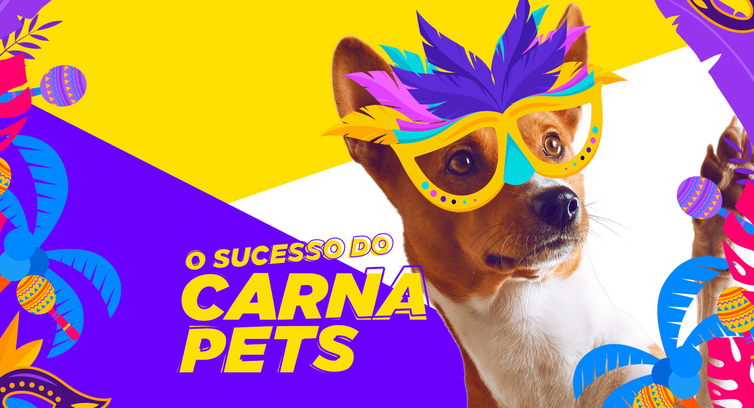 petsfood.app.br carnapets petsfood