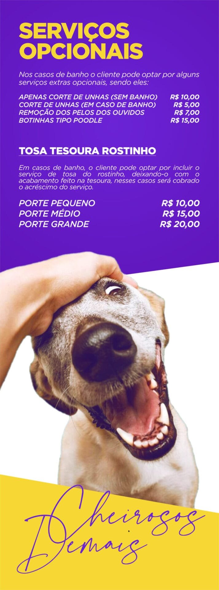 tosa e banho preço