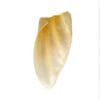 Orelha Bone Apettit, Cães - Natural