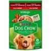 Sachê Dog Chow, Cães Todos os Tamanhos Adultos - Carne