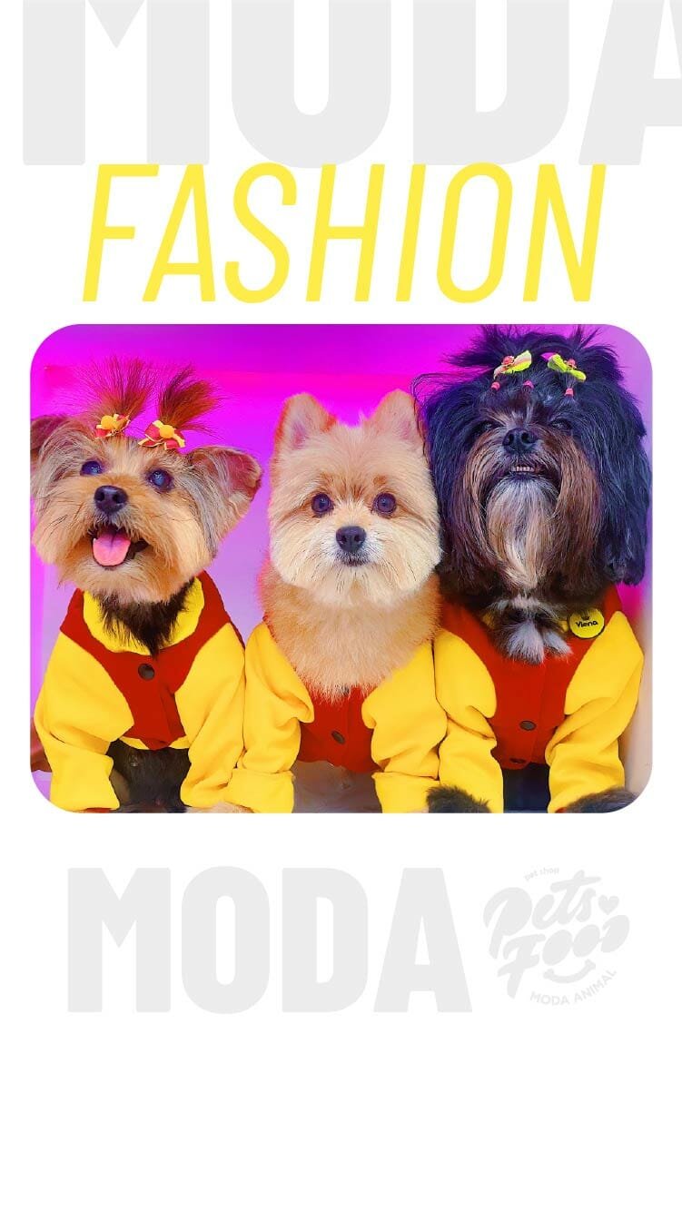 moda-pet-cachorro-sente-frio-08