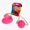 Brinquedo Cabo de Guerra Pet Toys