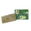 cat nip erva do gato