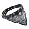 coleira com bandana e guizo para gatos