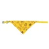 coleira com bandana para cães elo imports