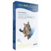 revolution gatos adultos