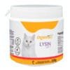 lysin cat