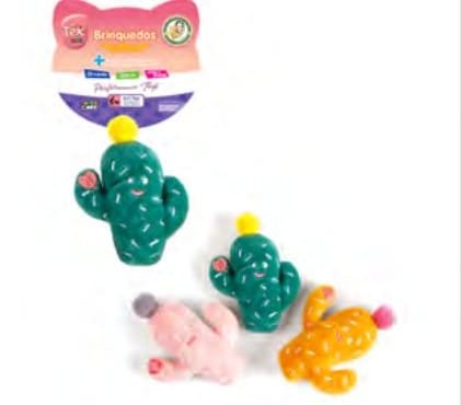 Cacto