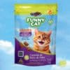funnysnacks-gato-frango