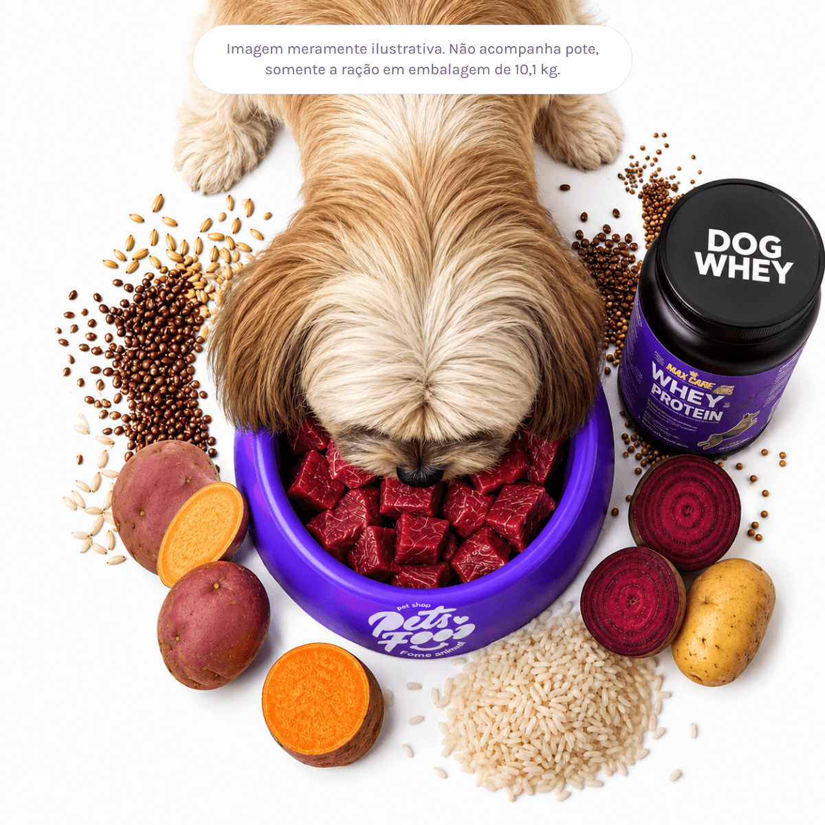 Ração Max Care Cães Adultos Raças Pequenas e Mini a granel ingredientes Ração Max Care Cães Adultos Raças Pequenas e Mini a granel, ingredientes